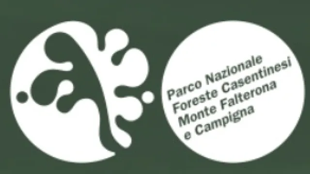 Parco Nazionale delle Foreste Casentinesi, Monte Falterona e Campigna